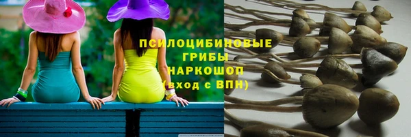 амфетамин Белокуриха