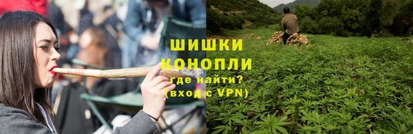 спайс Сясьстрой