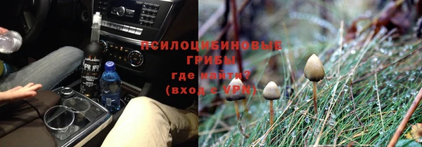 мяу мяу мука Богданович