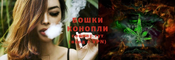спайс Сясьстрой
