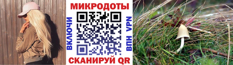 Псилоцибиновые грибы Psilocybine cubensis  Реж 