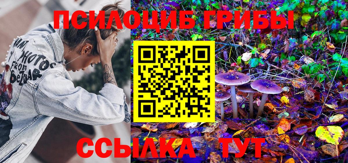 Псилоцибиновые грибы Cubensis Реж