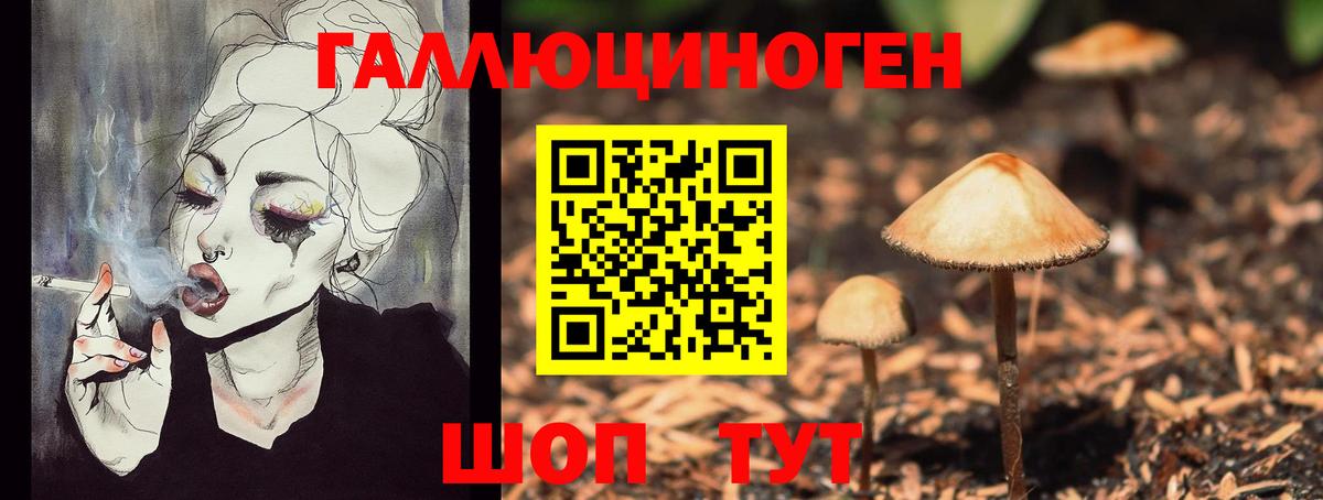 Псилоцибиновые грибы Psilocybine cubensis  Вход с VPN  Псилоцибиновые грибы GOLDEN TEACHER  Реж 